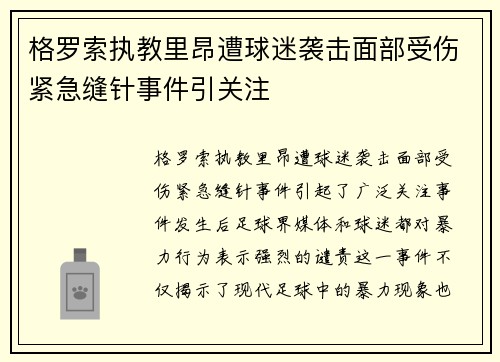 格罗索执教里昂遭球迷袭击面部受伤紧急缝针事件引关注 格罗索执教里昂遭球迷袭击面部受伤紧急缝针事件引关注